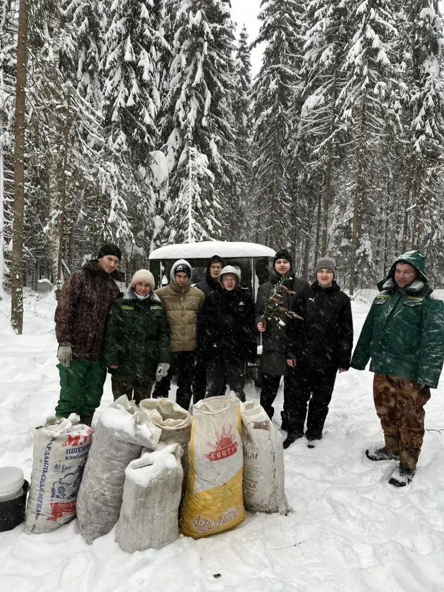 Учащиеся Ковернинской средней школы №2, члены школьного лесничества «Зелёная планета», приняли участие в сборе шишек.